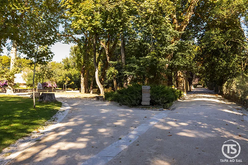 Caminhos sombreados entre árvores no Jardim do Cerco Mafra