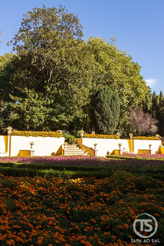 Canteros floridos diante da escadaria barroca no Jardim do Cerco Mafra