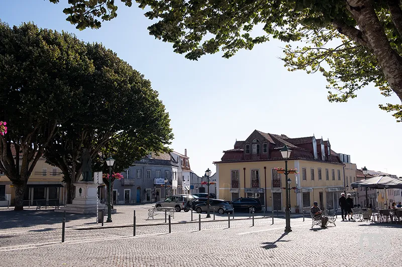 Mafra o que visitar: praça central com árvores centenárias e vida local
