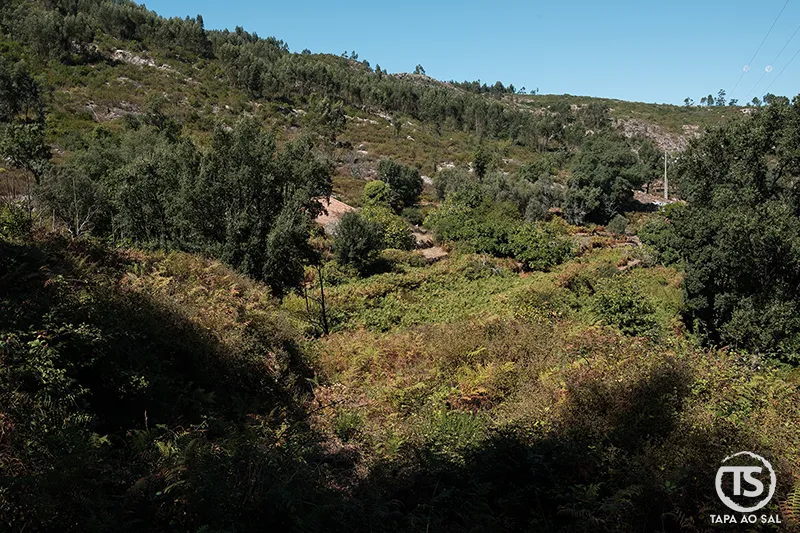Monchique o que visitar: paisagem verdejante da serra com vales e colinas