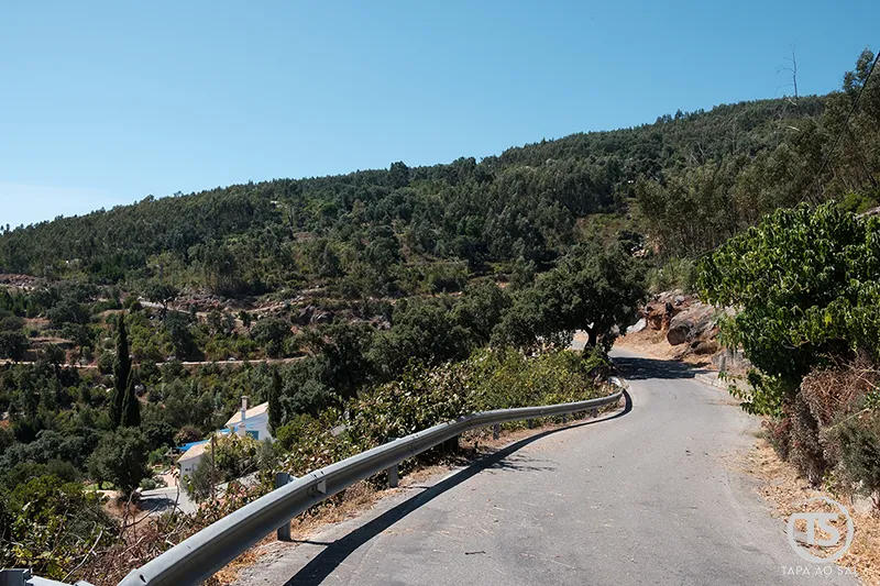 Estrada sinuosa na serra de Monchique rodeada de vegetação verdejante