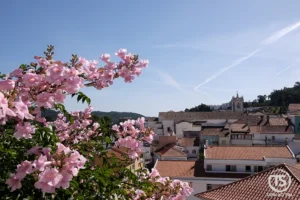 Flores cor-de-rosa com vista para os telhados e igreja de Monchique