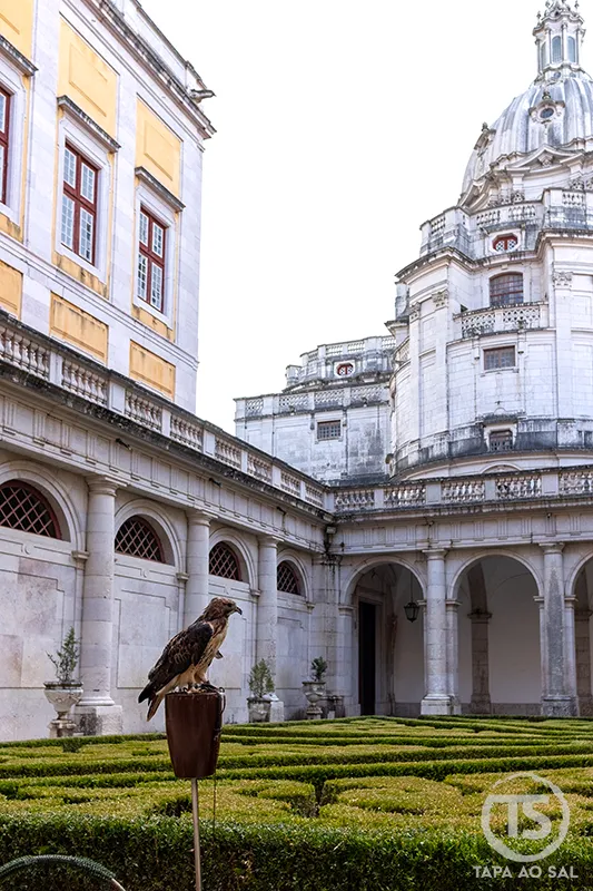 Jardins do Palácio Nacional de Mafra com arquitetura barroca e ave de rapina em destaque