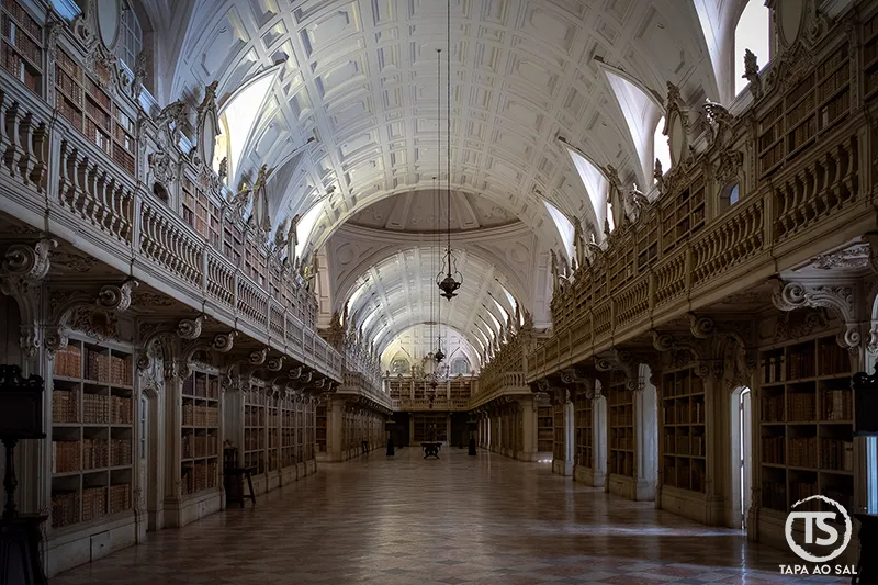 Biblioteca do Palácio Nacional de Mafra com estantes barrocas e teto abobadado iluminado