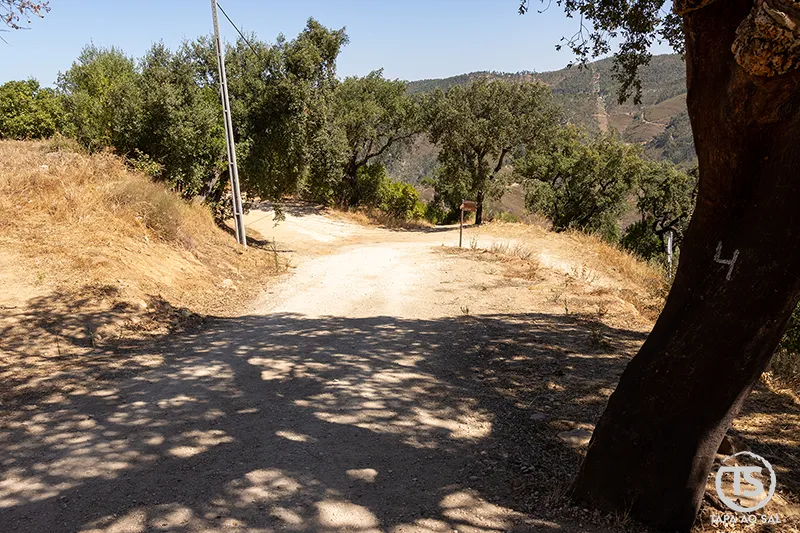 Caminho de terra na entrada dos Passadiços do Barranco do Demo em Alferce, rodeado por sobreiros e vista para a serra de Monchique