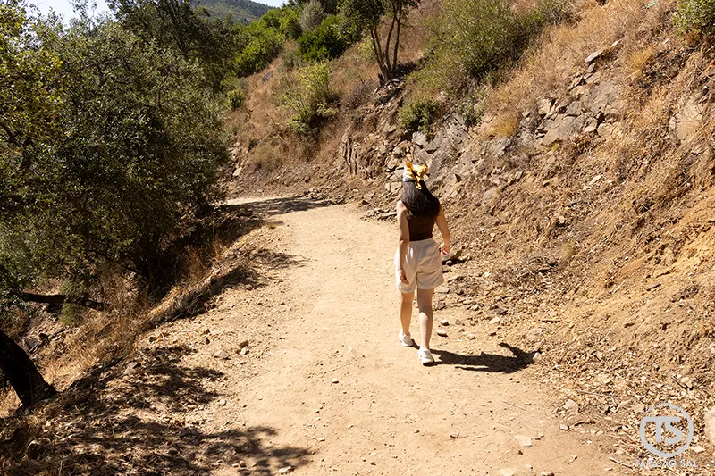 Caminhada pelo trilho de ligação aos Passadiços do Barranco do Demo em Alferce, Monchique