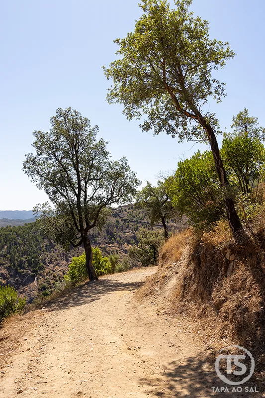 Trilho de terra junto aos Passadiços do Barranco do Demo em Alferce, Monchique