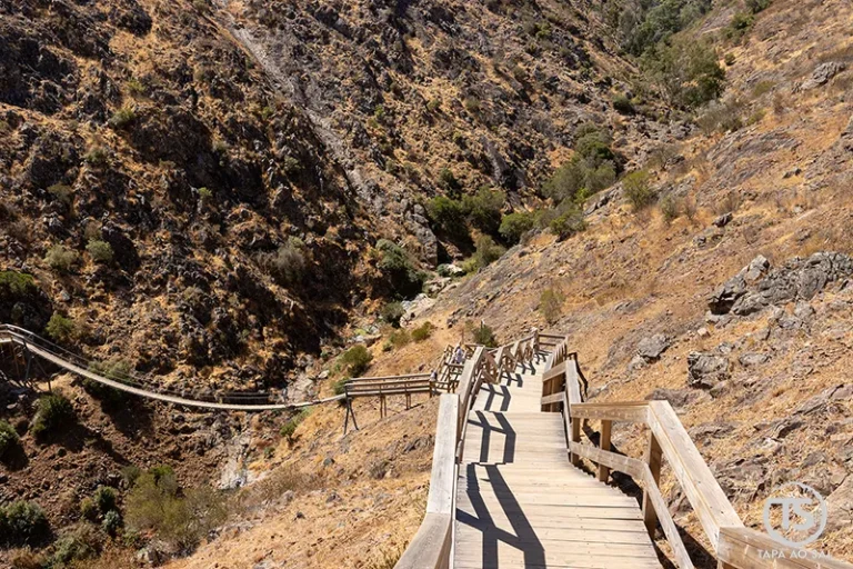 Passadiços do Barranco do Demo descendo o vale em Alferce, Monchique