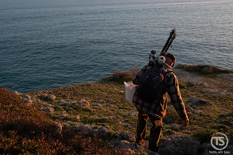 Pescador nas falésias de Carvoeiro ao entardecer no guia carvoeiro o que visitar