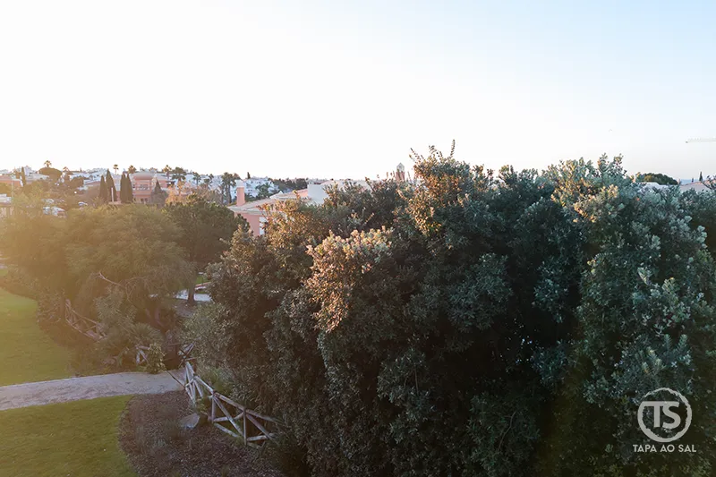 Jardins e vegetação do Monte Santo Resort Carvoeiro ao entardecer com vista tranquila sobre o resort em Carvoeiro Algarve