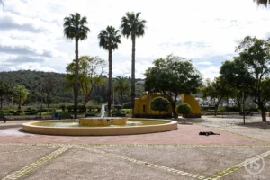 Fonte circular e palmeiras num jardim urbano durante o percurso silves o que visitar em Silves Algarve