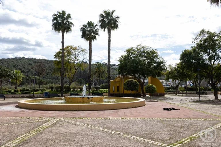 Fonte circular e palmeiras num jardim urbano durante o percurso silves o que visitar em Silves Algarve