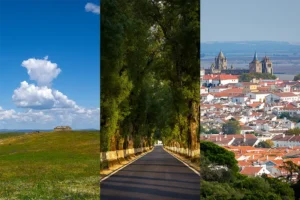 planície alentejana, estrada com árvores e vista de Évora, alentejo o que visitar