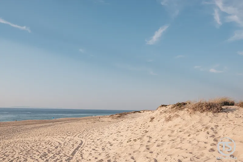 praia de areia com dunas no litoral alentejano e mar calmo, litoral alentejano o que visitar