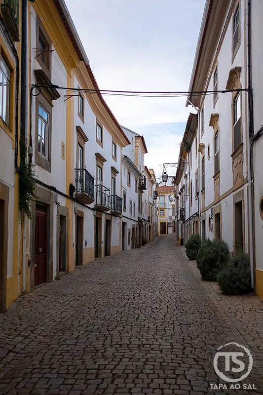 rua de calçada com casas tradicionais no Alentejo e fachadas brancas, alentejo o que visitar