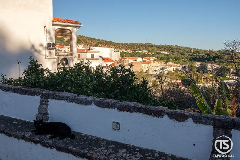 Alte o que visitar vista da aldeia com casas brancas e gato junto ao muro