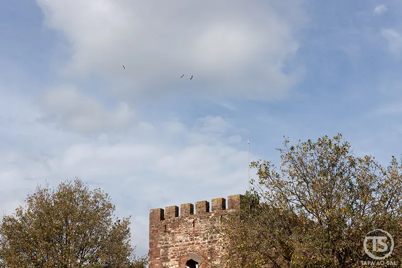 Torre e muralhas do Castelo de Silves entre árvores no Algarve