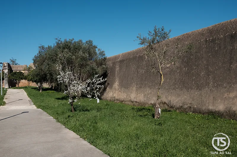 Muralhas de Lagos com caminho pedonal e árvores junto ao centro histórico
