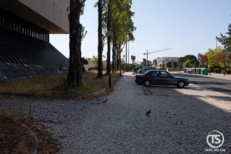 Rua urbana em Lisboa com carros e acesso rodoviário, contexto prático de como chegar a Lisboa e circular na cidade