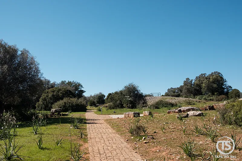 Caminho pedonal nos Monumentos Megalíticos de Alcalar entre vegetação e vestígios da necrópole