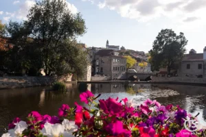 Jardim e lago no centro histórico de Viseu com flores em primeiro plano e edifícios históricos refletidos na água