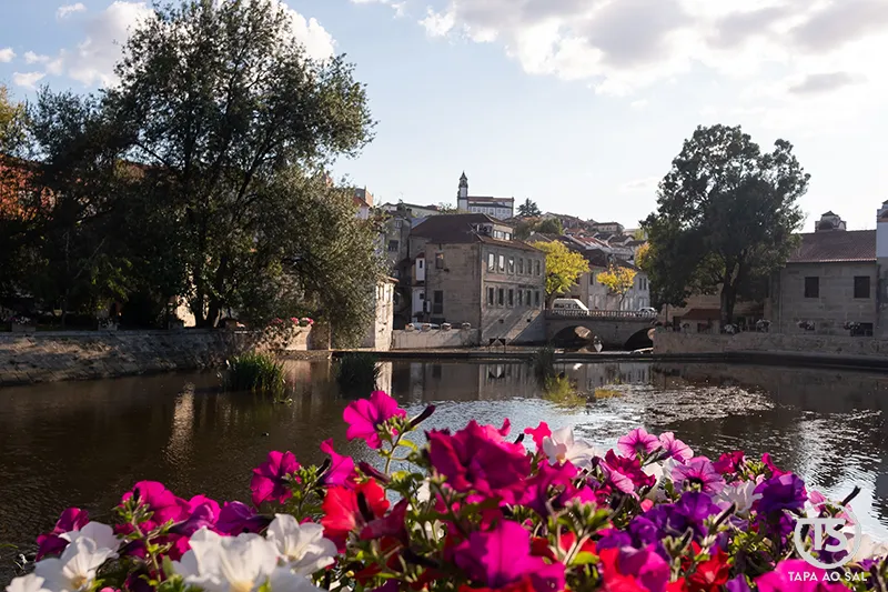 Jardim e lago no centro histórico de Viseu com flores em primeiro plano e edifícios históricos refletidos na água