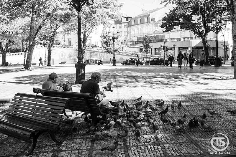 Rossio de Viseu na Praça da República com bancos, árvores e ambiente urbano no centro histórico